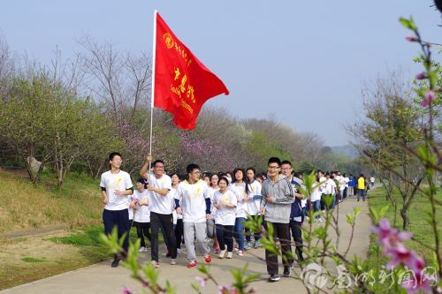 春天里，信息青年当奋进